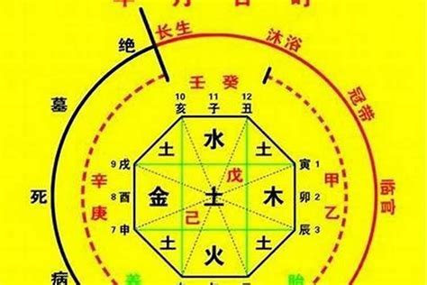 十神查詢|生辰八字算命、五行喜用神查詢（免費測算）